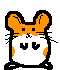 Happy Hamster